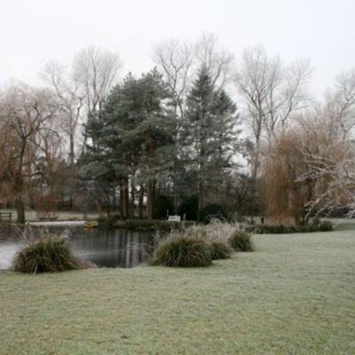 Folke Manor Farm