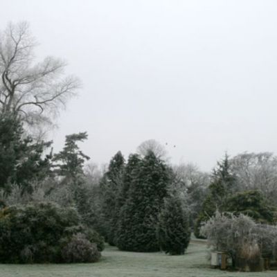 Folke Manor Farm