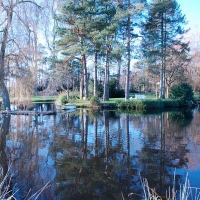 Folke Manor Farm