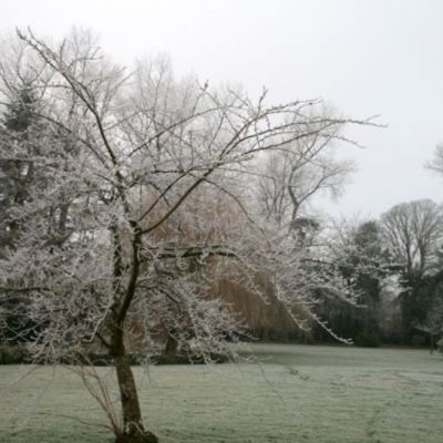 Folke Manor Farm